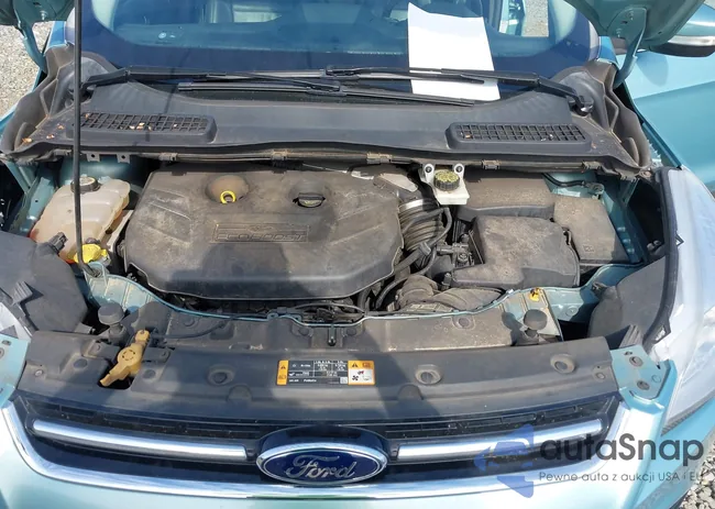 1FMCU0H92DUA53779: 44291506