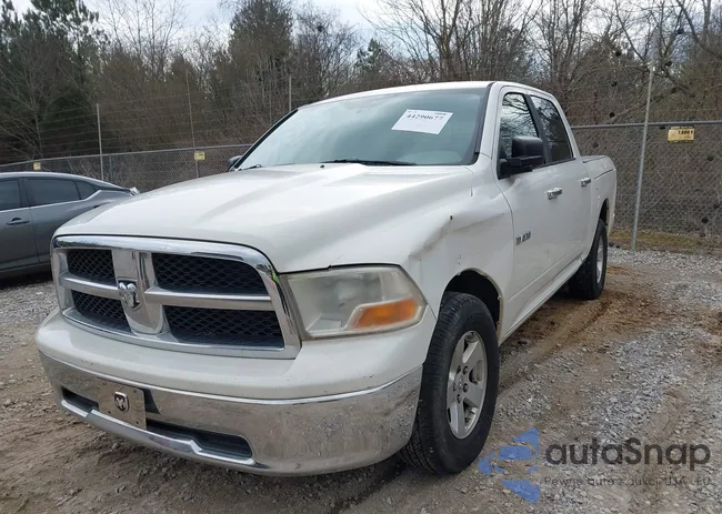 1D3HB13P59J514646: 44290677