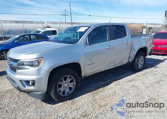 1GCGTCE36G1204669: 44290792