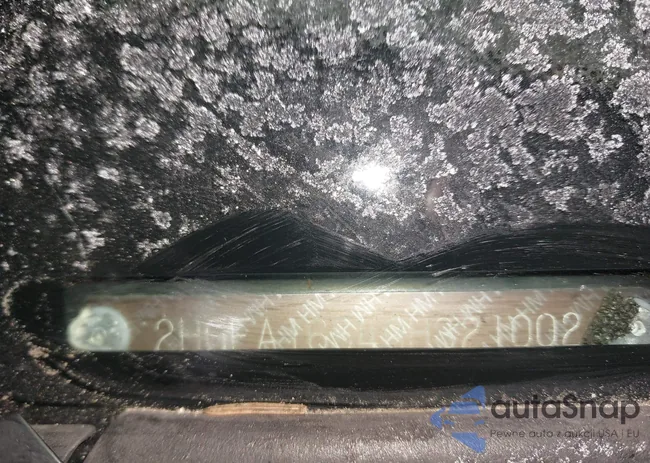 2HGFA16549H321002: 44292524