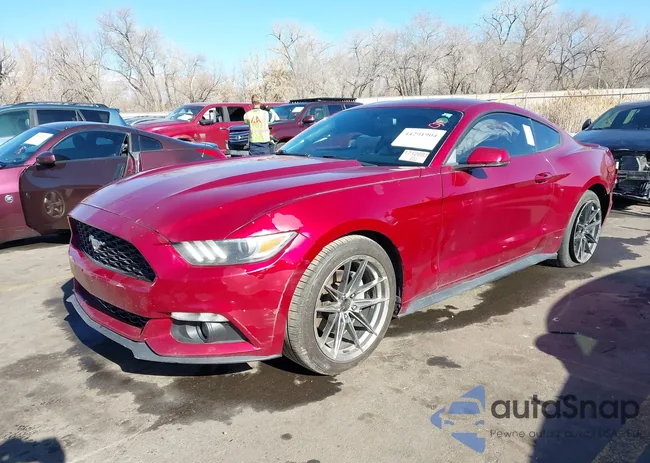 1FA6P8TH3G5215641: 44291904