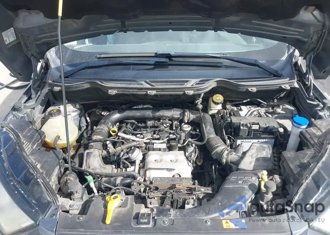 MAJ3P1TEXJC175836: 44293117