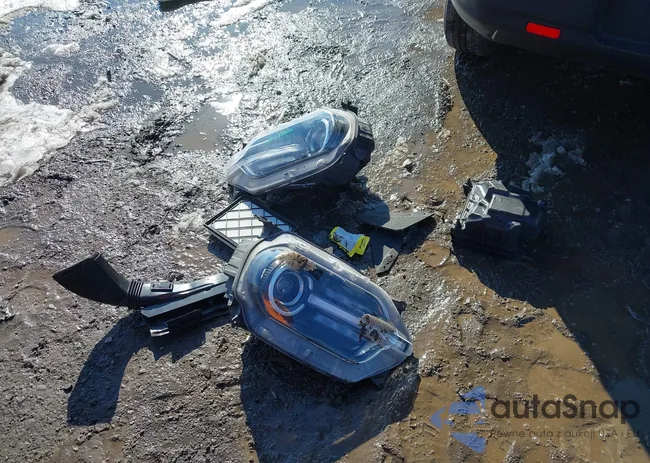 3FMCR9B6XMRB30183: 44293237