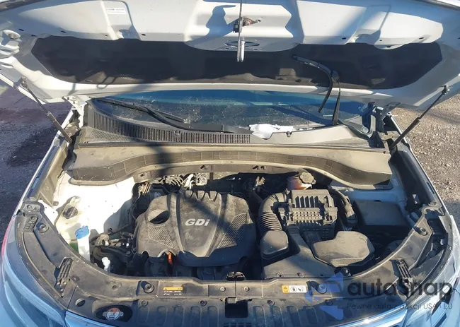 5XYKTCA65EG483829: 44293341