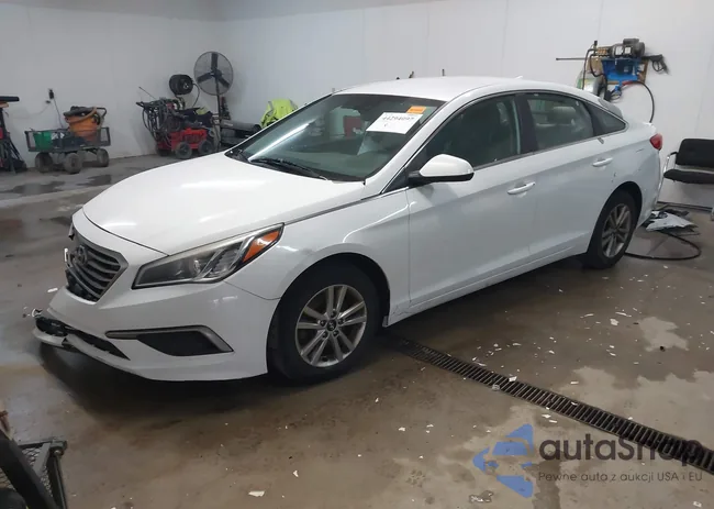 5NPE24AF7GH269104: 44294097