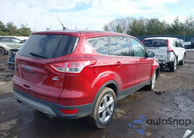 1FMCU9GX5EUD86662: 44294121