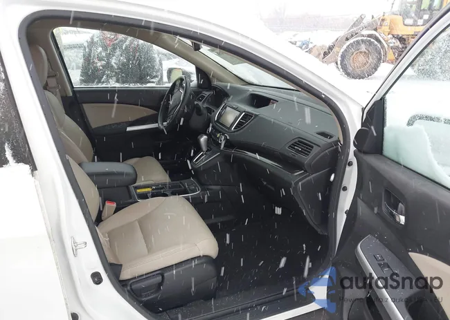 5J6RM4H97FL127111: 44295058