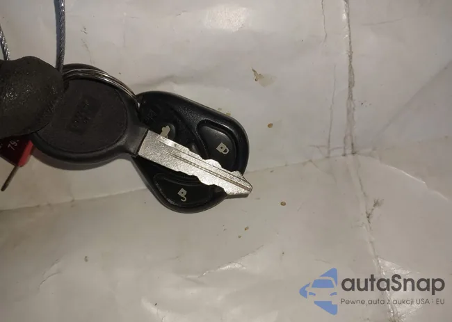 1B4HS28N91F555906: 44295099