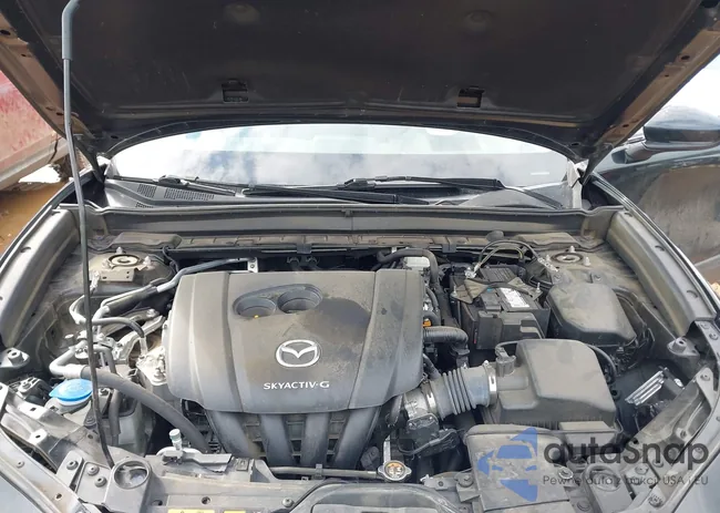 3MVDMBDL1MM307684: 44295316