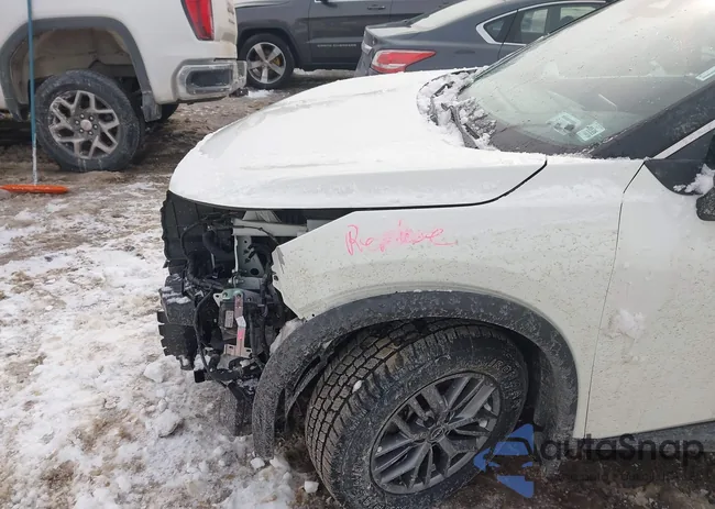 5N1BT3AB6RC690636: 44294810