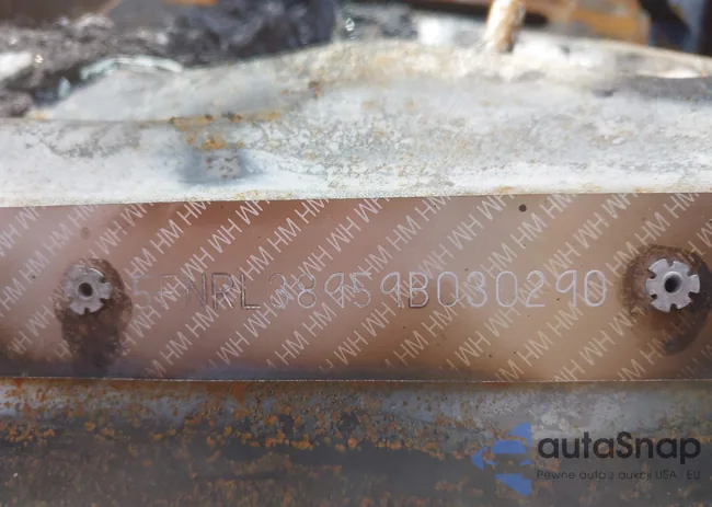 5FNRL38959B030290: 44294897