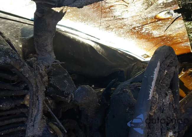 1FT7W2B63JEB22320: 44294908