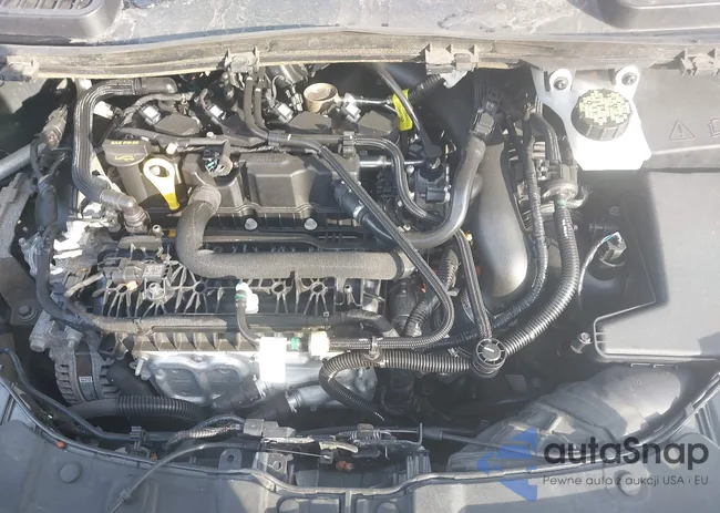 1FMCU9GD9JUD07445: 44295628