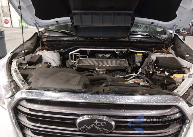 4S4WMAPD7M3438236: 44295912