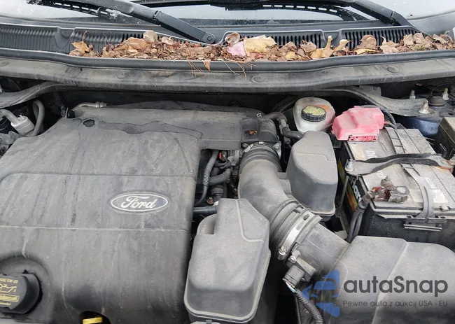 1FM5K8F83DGA60956: 44297031