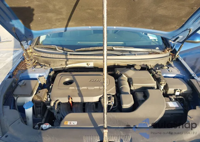 5NPE24AF3GH364260: 44297250