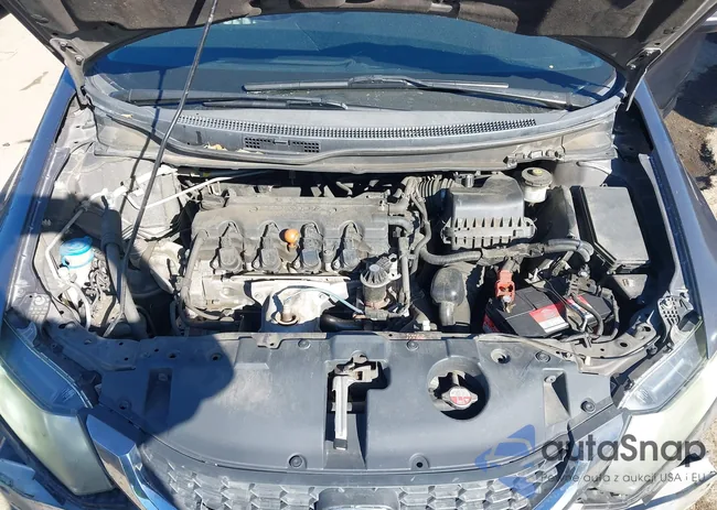 19XFB2F51FE289621: 44297260