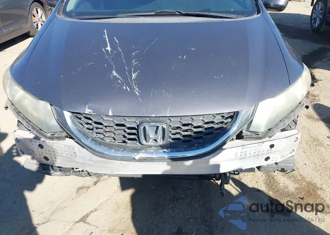 19XFB2F51FE289621: 44297260