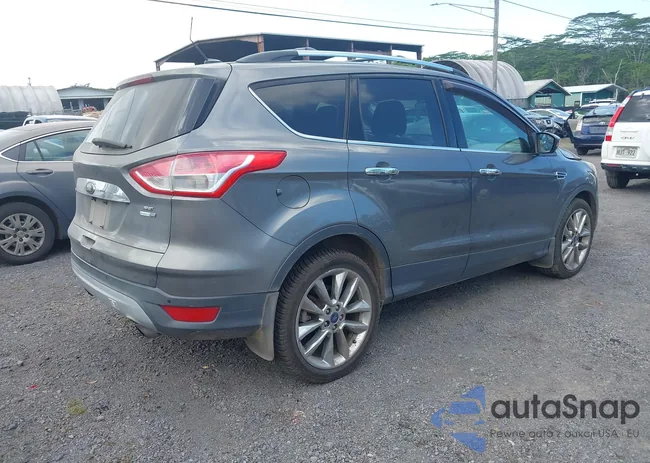 1FMCU9G91EUD72744: 44296915