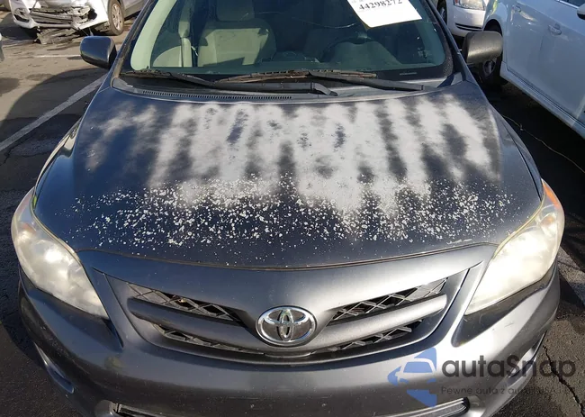 2T1BU4EE2CC773524: 44298272