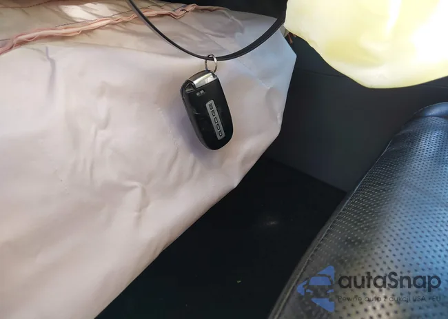 1C4SDJCTXLC261938: 44298385