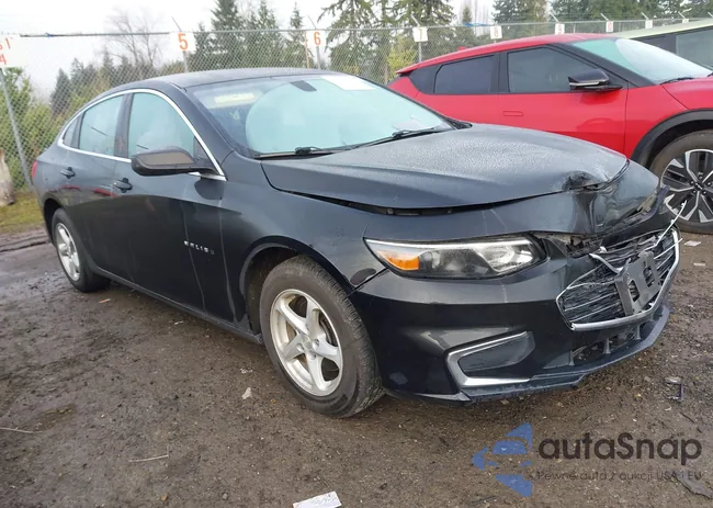 1G1ZB5ST7HF206651: 44298505