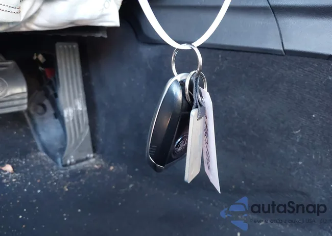 ZARFAMAN8M7645541: 44298737