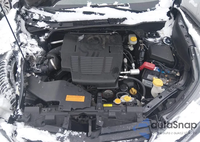 JF2SKASC4KH431740: 44300161