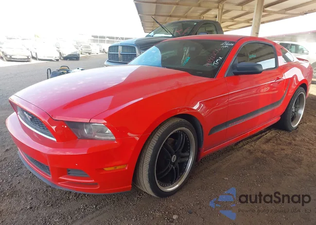 1ZVBP8AM1E5278224: 44300256