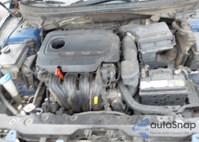 5NPE24AF4GH356488: 44300369