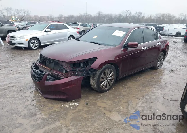 1HGCP3F8XBA024635: 44301059