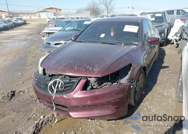 1HGCP3F8XBA024635: 44301059