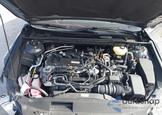 4T1DAACK6SU158335: 44301128