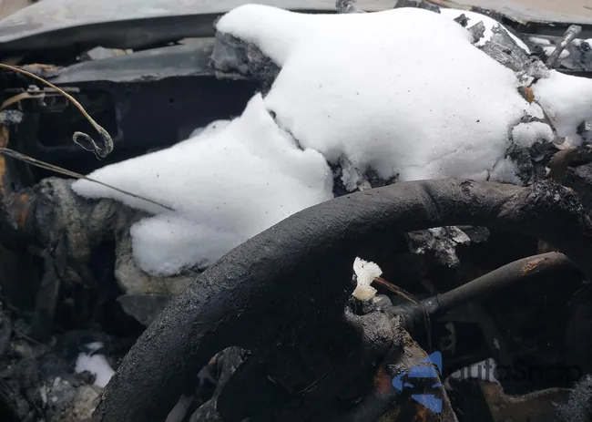 3C6TD5DT8CG303876: 44301232