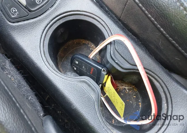 3C4NJDDB9LT196257: 44300832