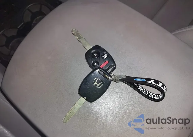 5FNYF4H58DB014650: 44300953