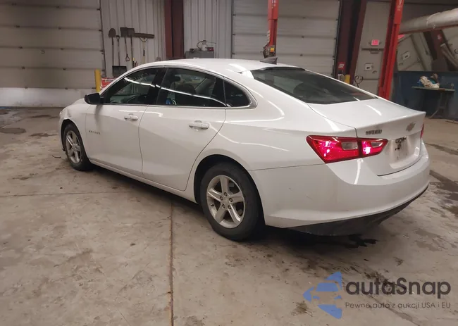 1G1ZB5STXKF221653: 44300982