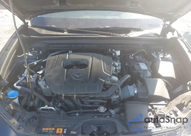 3MVDMBBM2RM648319: 44302189