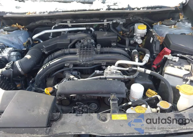 JF2GTAPC2P8219843: 44302404