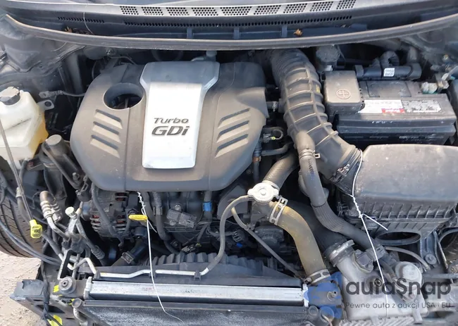 KNAFZ5A35G5631097: 44302569