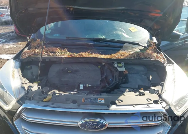 1FMCU9GD0HUD14813: 44302587