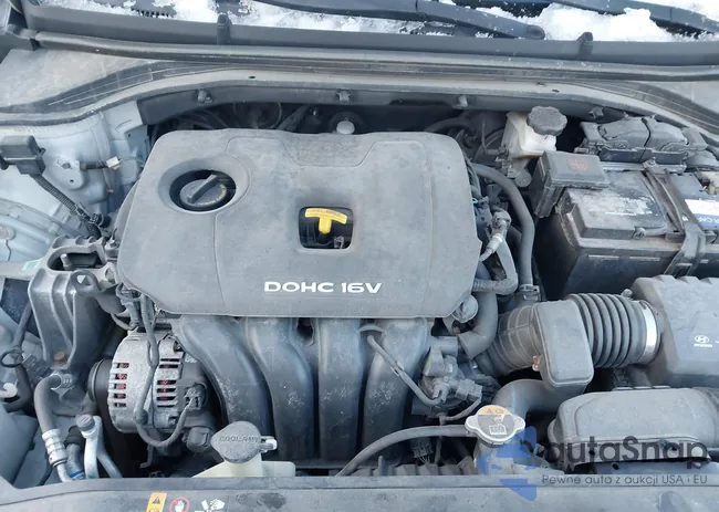 5NPD84LF5HH015206: 44301628