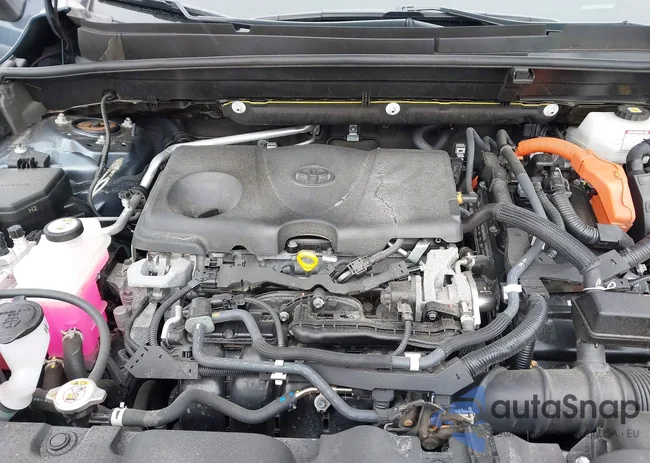 JTEAAAAH8MJ046196: 44303383