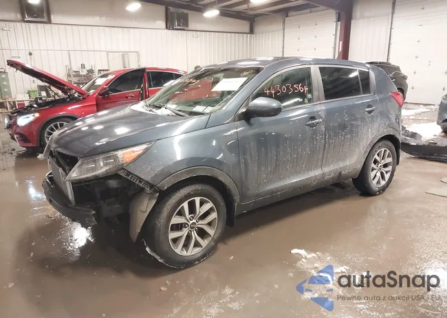 KNDPBCAC9G7877140: 44303564