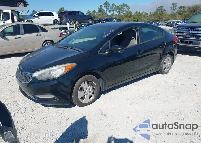 KNAFK4A64F5390902: 44303610