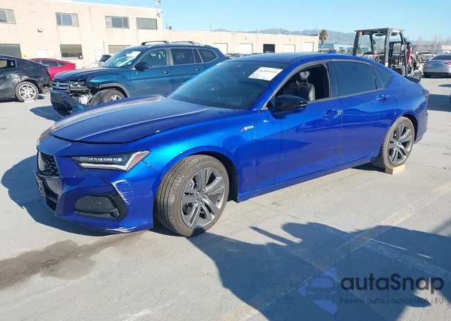 19UUB5F59MA013309: 44303612