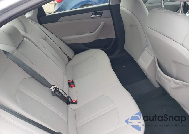 5NPE24AF8KH795380: 44302801