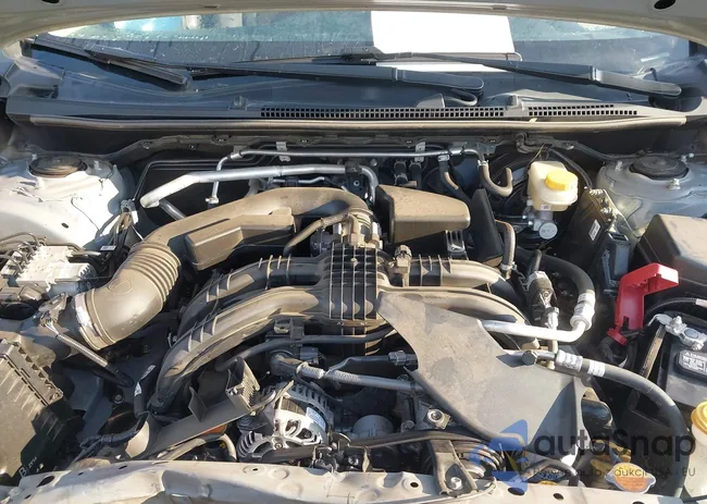 JF2GTAPC5P8290065: 44302893