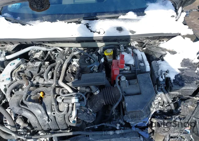 3N1AB8CV1RY290663: 44302965