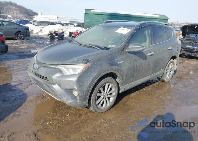 JTMDJREV0GD016483: 44304079